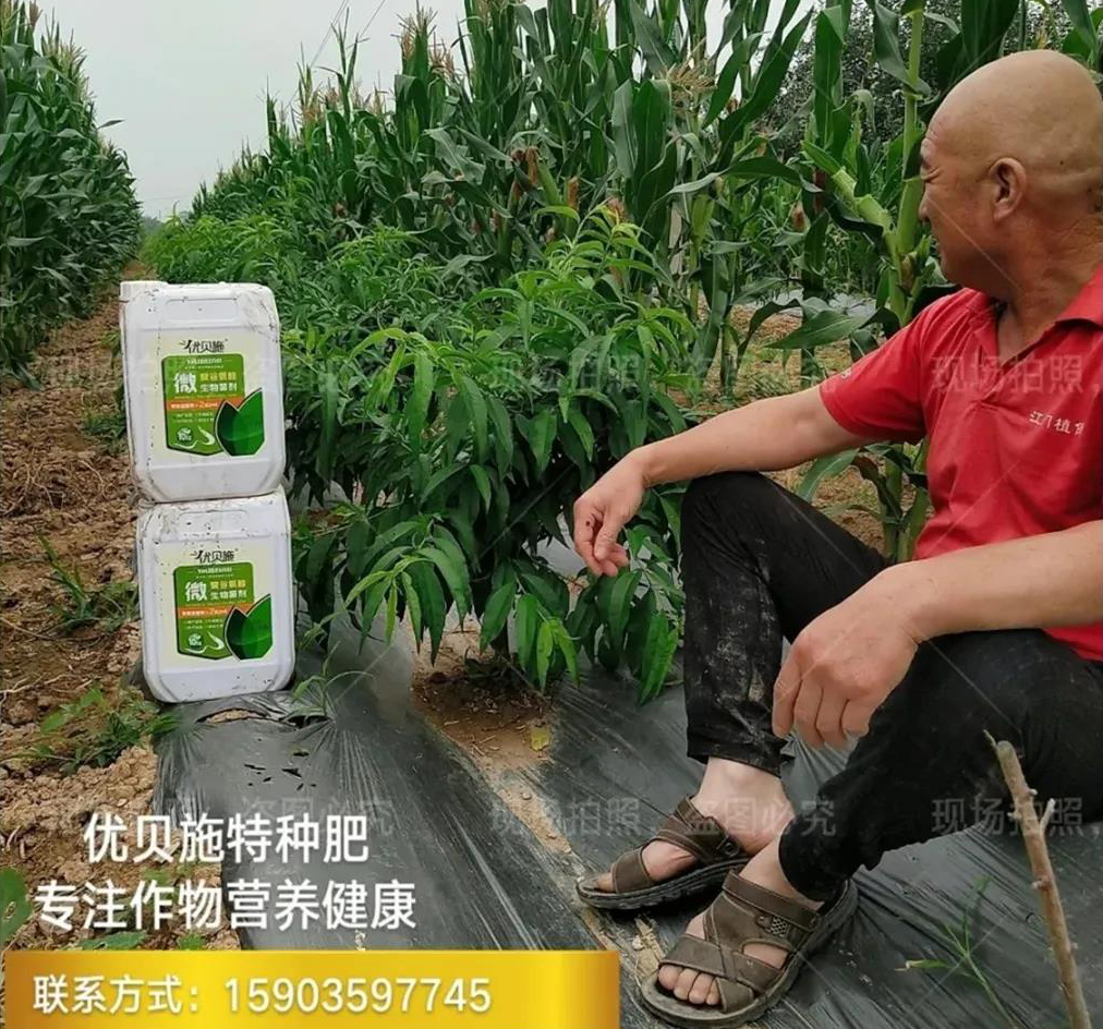 吉祥体育网址是什么:为农业插上科技的翅膀