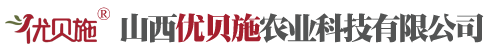 吉祥体育网址是什么